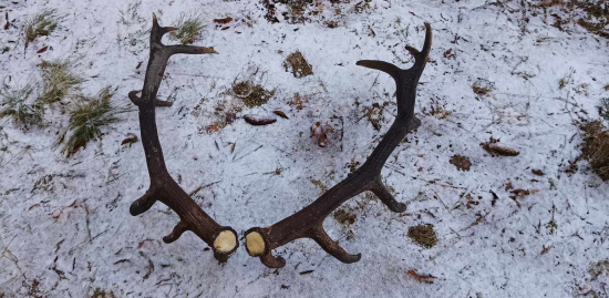 Životné 210, 53bodov