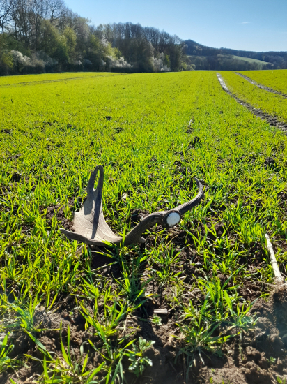 Krásne,nezabudutelné chvíle v chotáry