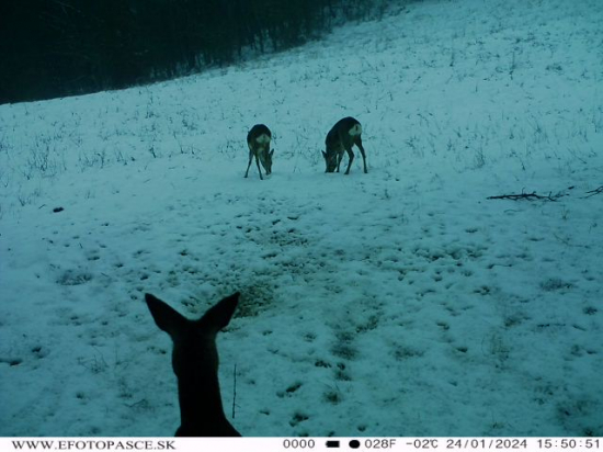 Keď dávaš pozor na deti!