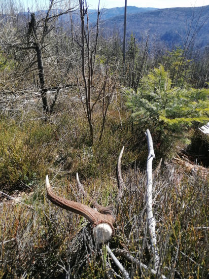 Klasika Veľký piatok