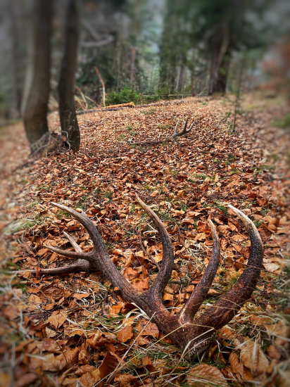 Keď to najmenej čakáš…