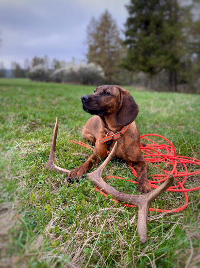 Úspešne zakončenie dňa.