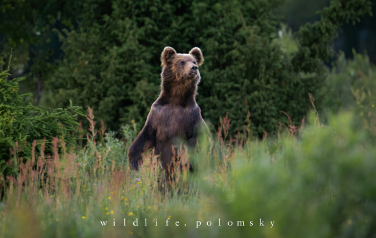 ~Keď sa vietor otočil~