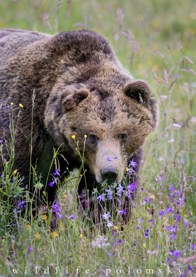 Na ten pohľad nezabudnem…
