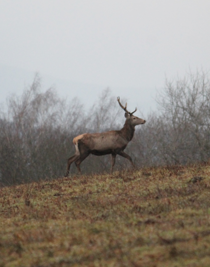 Ešte tieto podržia...