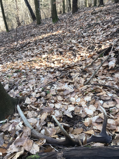 Minuloročný 10 torák