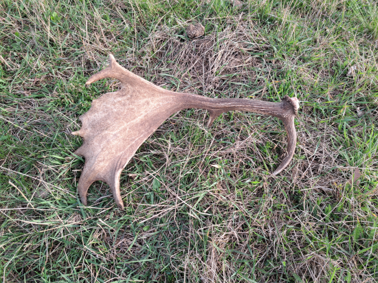 Lopata ako sa patrí