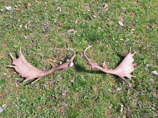 Toto sa stane možno len raz za život