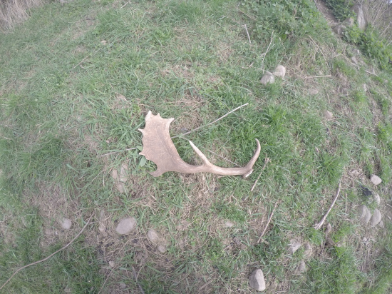 Ešte jedna zo začiatku apríla