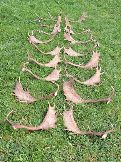 Sezóna 2024 plná skvelých zážitkov