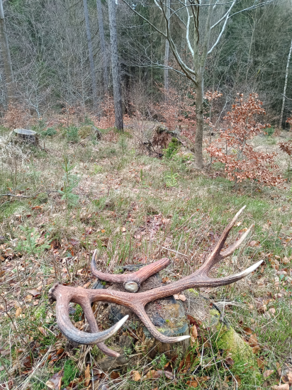 Netradiční pár!!!