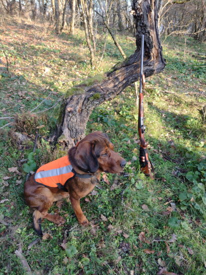 Spoločná poľovačka