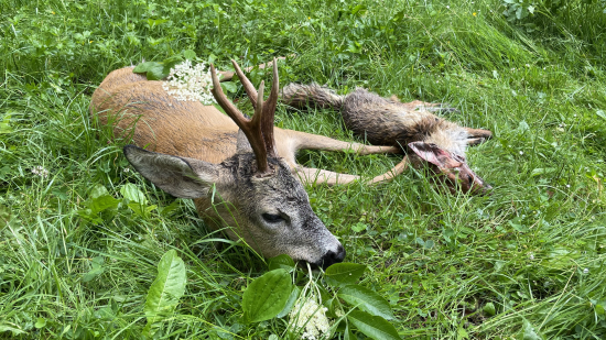 Kamarátov zo začiatku sezóny