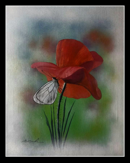 Motýľ, maľba na želanie.