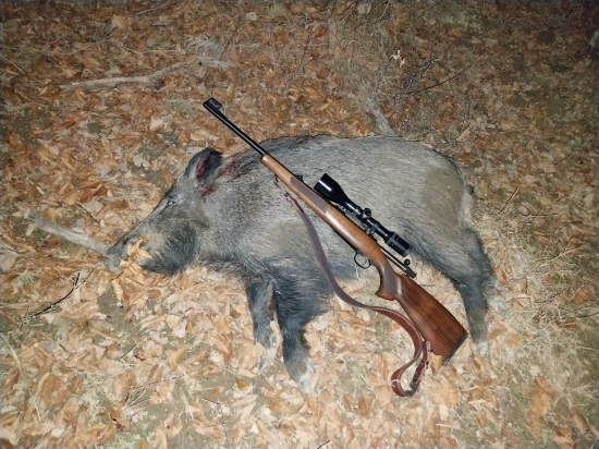 Manzelke sa zadarilo