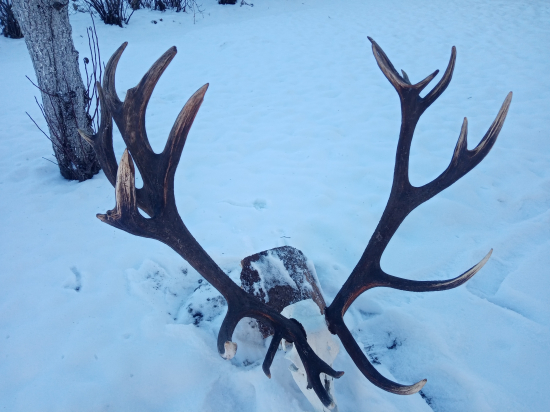 Po úprave k id 389214