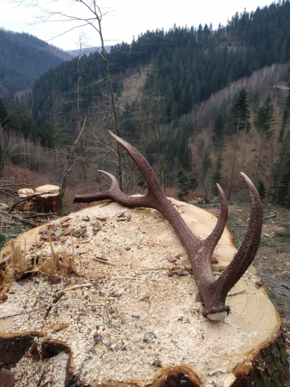 Prvy tento rok  2kg dlzka 82cm