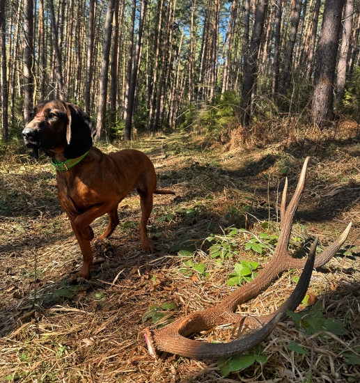 Konečne sa zadarilo :)