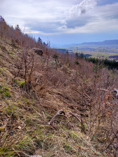 Dokonale odložené...