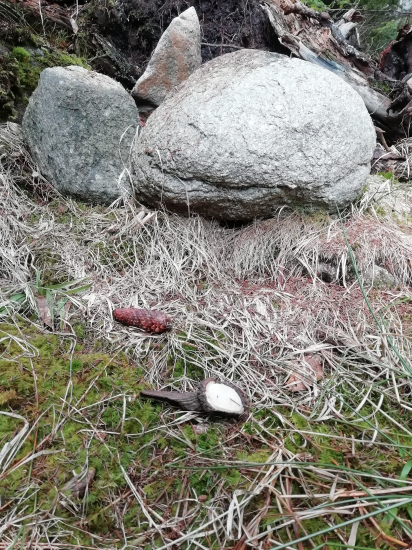 Vualá konečne čerstvy