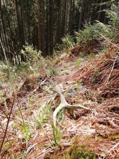 Zase stará hujovina