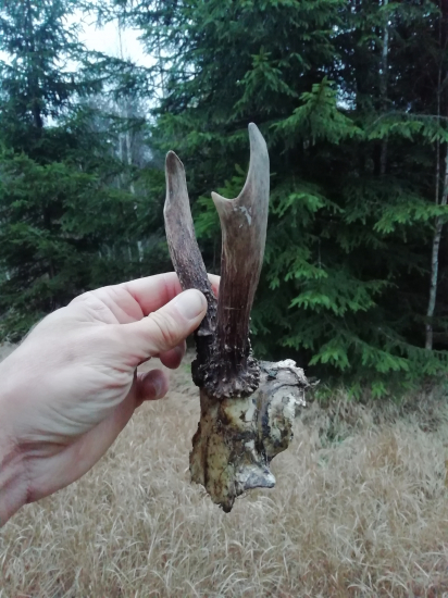 Najdený hmatom podrážky