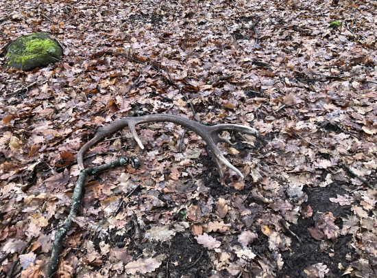 uz je dobre…12torak