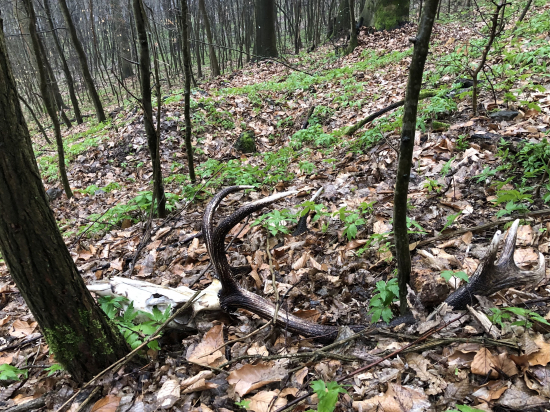 v najvacsom dazdi …