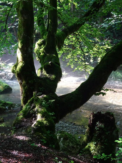 Pri Gaderskom potoku