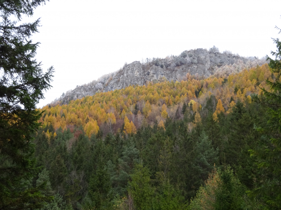 V Blatnickej doline...