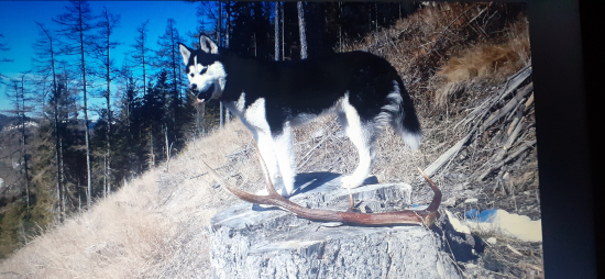 Bola nádherá,nevyspytatelnáa nepolapiteľná..