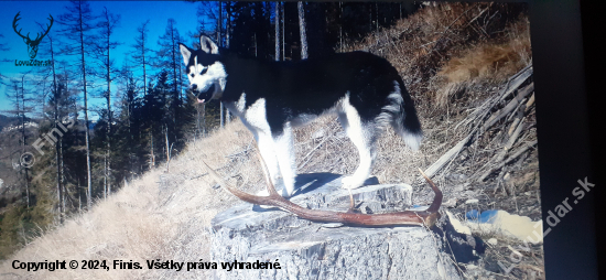 Bola nádherá,nevyspytatelnáa nepolapiteľná..