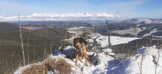 Na horách nám troška nasnežilo.