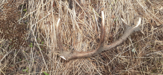 Dnes len taká hodinovka.