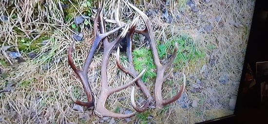 Včera vrece odpadu dnes odmena.