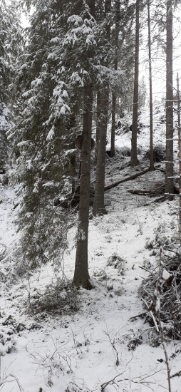 Čo za čudo sa,,driape