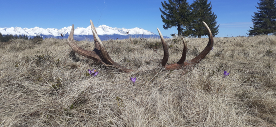 Veľký piatok tiež nesklamal.