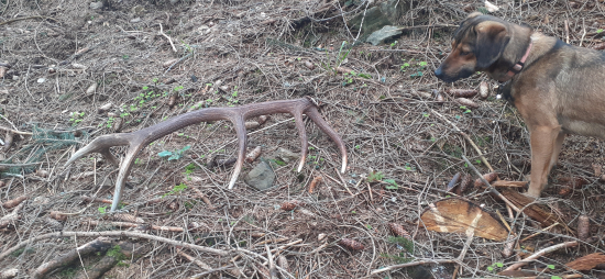 Posledná aprílová nedeľa.Pekná