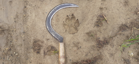 Veľkosť,niet čo dodať.