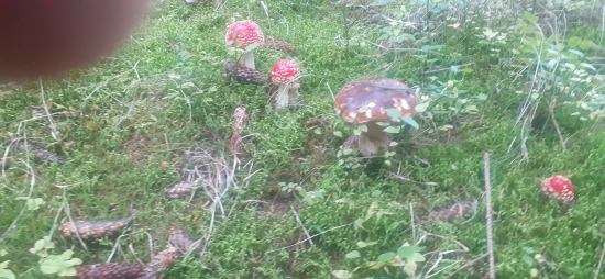 Pokazil si nám postupku.