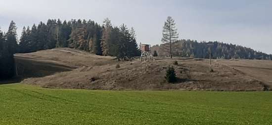 Jeseň cez poludnie.