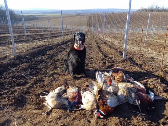 Posledná túto sezónu