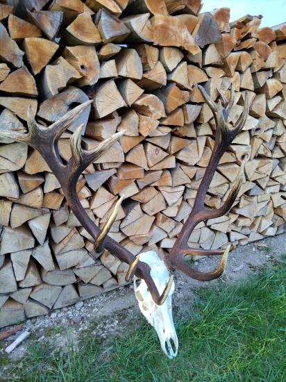 Nepravidelný 20 torak