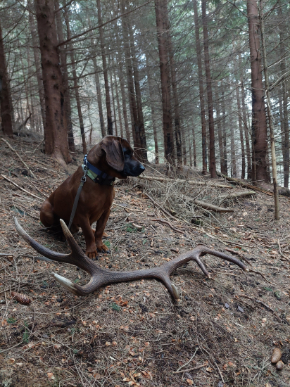 Po celom dni potešil