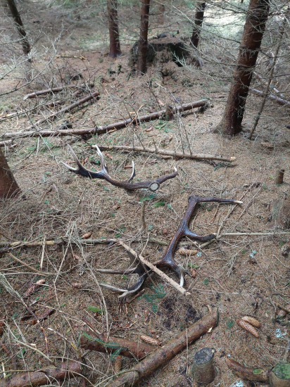 Neskutočný pohľad