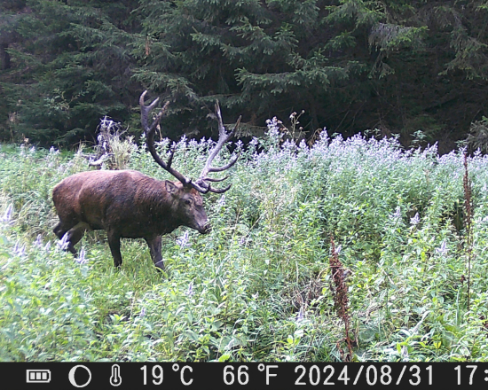 Prišiel sa osviežiť