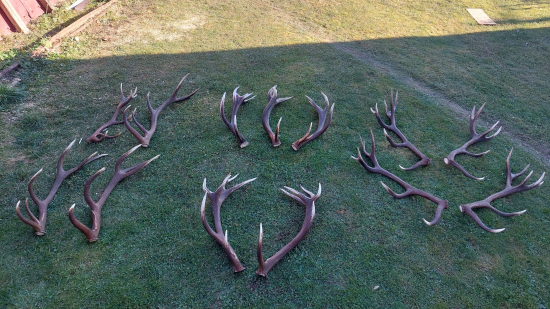 Nevyčísliteľná hodnota