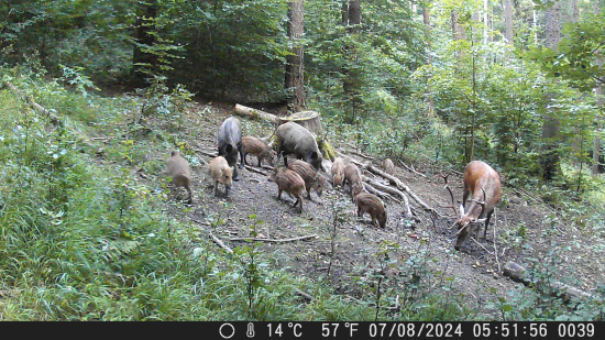 Spoločné raňajky.
