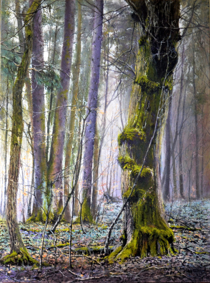 Lesné rarity. Olejomaľba na plátne. 60x80 cm.