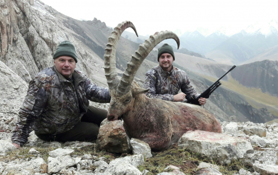 kozorožec v Kirgizsku